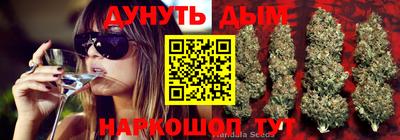 круглые Бийск