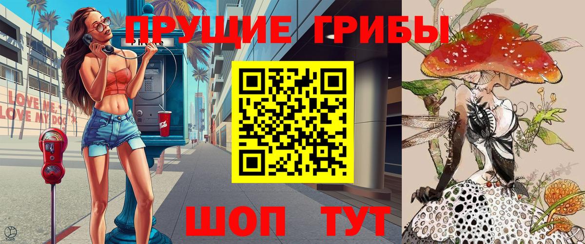 Всеволожск  Псилоцибиновые грибы Cubensis  Вход с VPN 