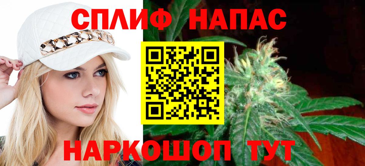 Канабис сатива Всеволожск